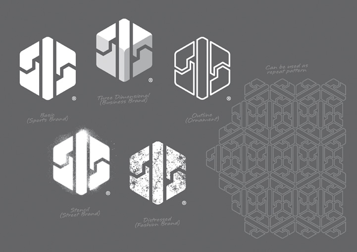 Zii3 Strategy brand design variations