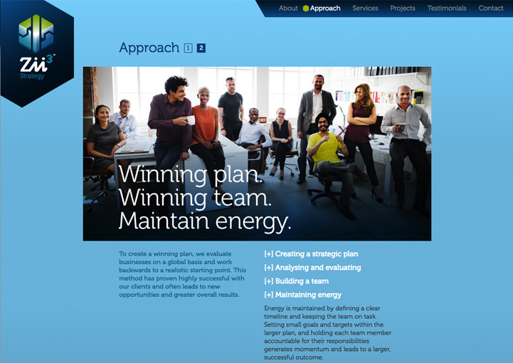 Zii3 Strategy web page design