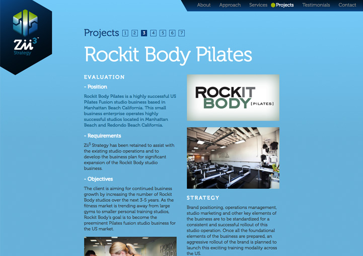 Zii3 Strategy web profile design